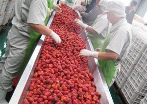 Buy cheap 380V Berry Fruit Jam Processing Machinery 20T/H ISO9001 Certificate product