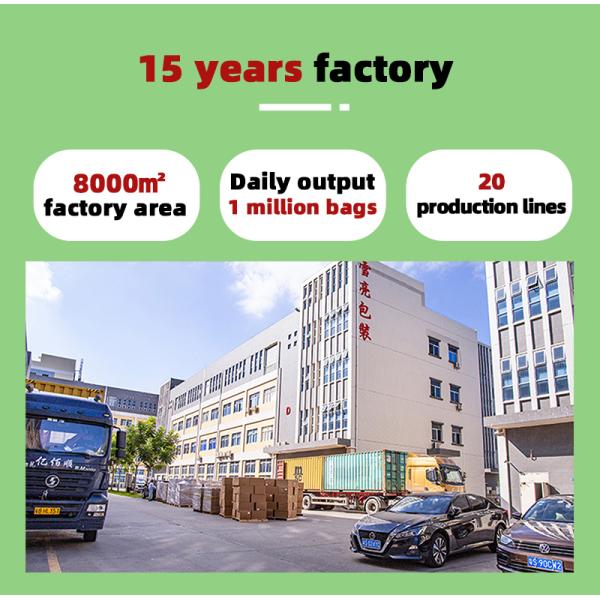 Environmentally Biodegradable Paper Bags For T-Shirts With Good Or Semi Transparency