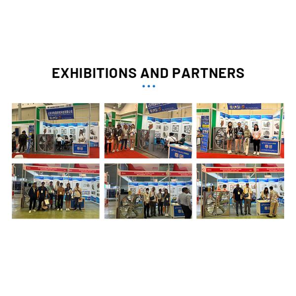 Poultry Farm Wall Fan Louvered Box Ventilation Fan Hammer Exhaust Fan for Greenhouse/Chicken House/Workshop Fan for Sale