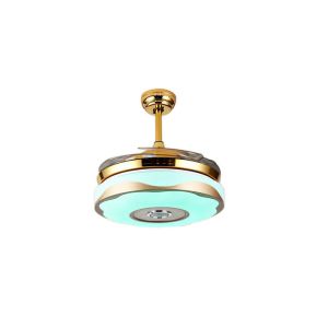 China 36W Ceiling Fan With Light And Music on sale