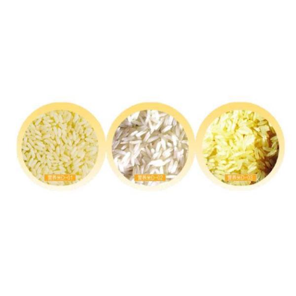 Reliable Artificial Rice Production Line High Output Self - Cleaning Function
