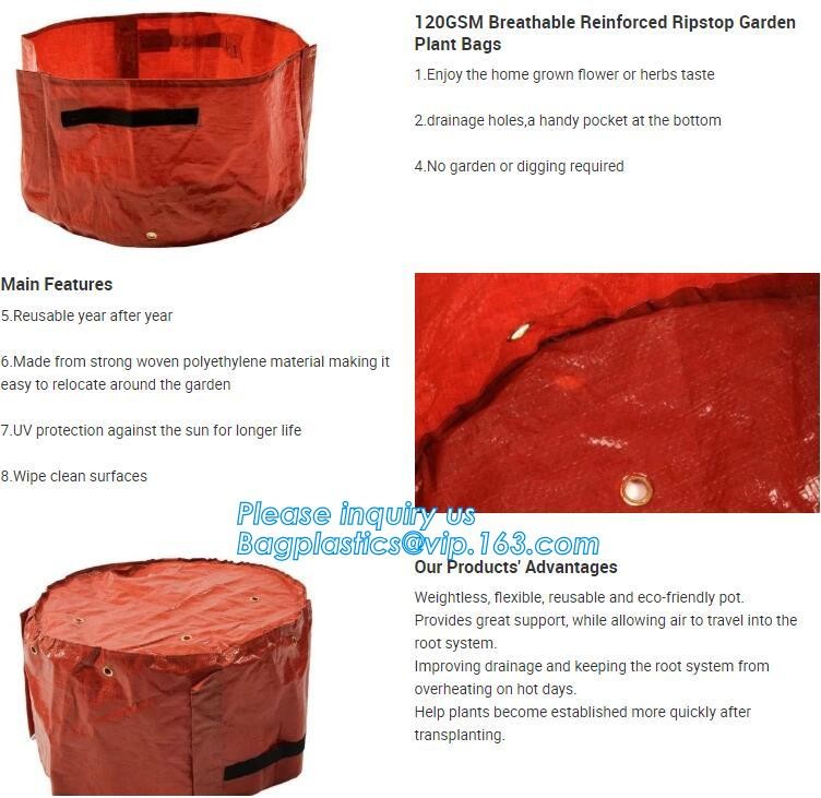 customized waterproof green pe car protector,environmental firendly, car boot liner, reusable, durable,economical,sample