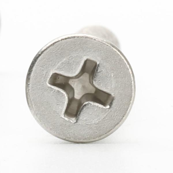 SS304 SS316 Stainless Steel Self Tapping SS Deck Screw