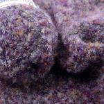 Blended Loop Yarn Recycled Polyester Imitate Alpaca Wool Yarn