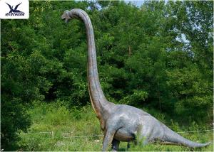 18 Meters Giant Realistic Dinosaur Models , Life Size Farm Animal Models 