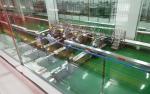 Stainless Steel Bread Packaging Line 220V Automatic Bread Processing Line