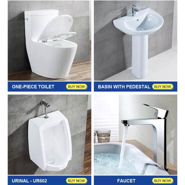 Modern Design Rimless SWM9315 Sanitary Wall Mounted Round WC Sanitary Ware Ceramic