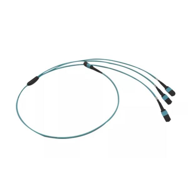 12Fibers 24Fibers MPO/MTP SM MM 5.5mm Trunk Cable/Patch Cord
