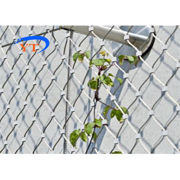 1.6mm Sus304 Stainless Steel Cable Mesh 100x100mm High Tensile