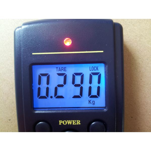 ABS Plastic Digital Hanging Scale With Multifunctional Net Weighing Function