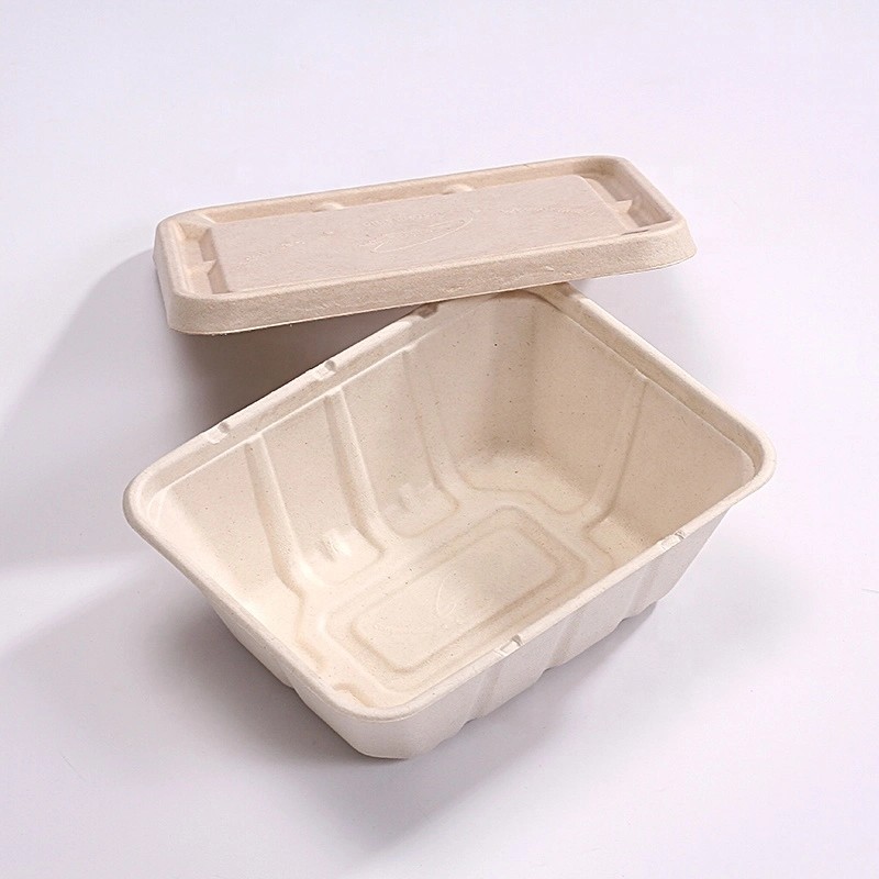 Buy cheap Disposable Takeaway Sugarcane Bagasse Box Disposable Food Containers With Lids product