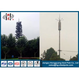 Buy cheap Disguised Pine Tree Telecommunication Towers Inner Climbing Ladder product