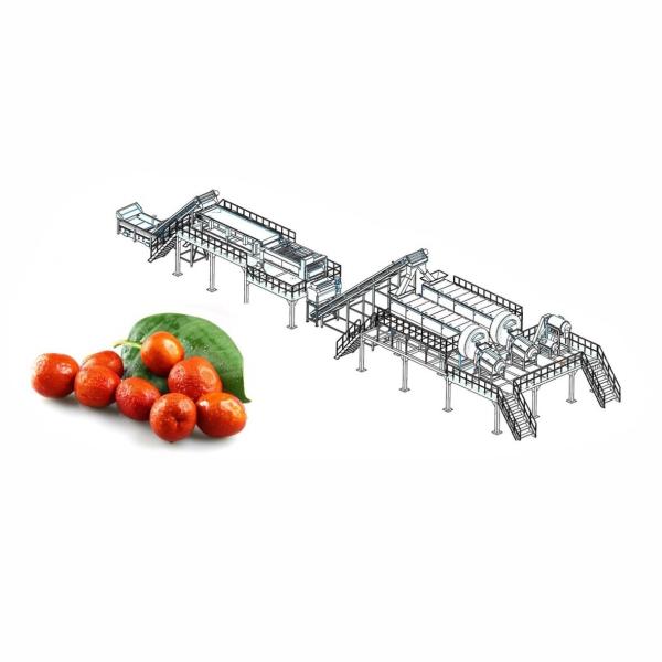Quality Industrial Pomegranate Juice Production Line 2 - 50T/H Pomegranate Juice Making Equipment for sale