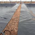 Smooth Geomembrane Roughened Geomembrane Composite Geomembrane 1mm 2mm for