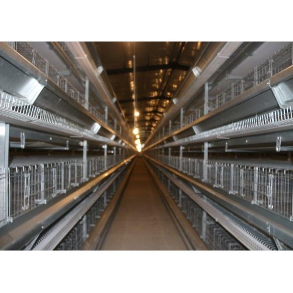 High Capacity Chick Rearing Equipment U - Shaped Steel Manage Easily