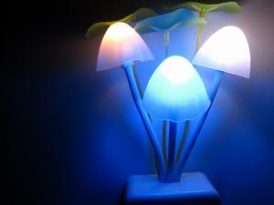 China Colorful LED Night Light/ kids led night lamp/ night lighting wholesale on sale