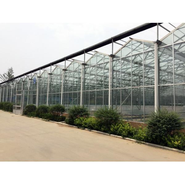 Sound Insulating Commercial Glass Greenhouse Good Display Effect Beautiful Appearance