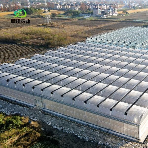 Shipping Container Greenhouse for Leafy Vegetables