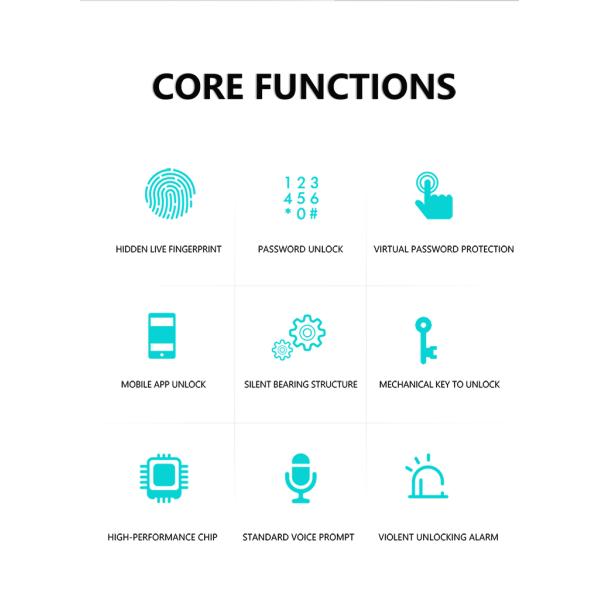 Remote Control Smart Door Lock WiFi Smartphone APP Funciton & Voice Control