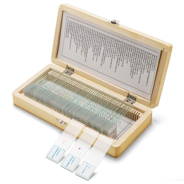 Mixed Plant Animal ODM Microscope Biology Prepared Slides 50pcs SET