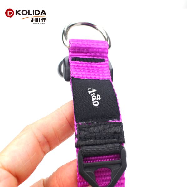 Dog Training Nylon Webbing Collar With Double D Rings Easy Washing
