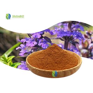 Ajuga Turkestanica Extract (turkesterone)