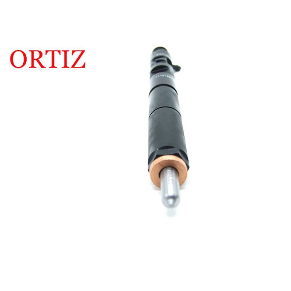 Ssangyong Rodius D27DT Use DELPHI Common Rail Injector EJBR04701Z 280G