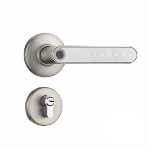 F2 Smart Fingerprint Handle Locks