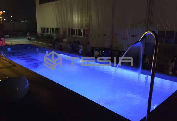 Tesia Industry Custom Prefab Modular 20FT 40FT Container House Luminous Swimming Pool