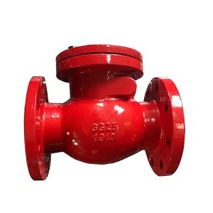 China PN10/PN16 DIN metal seal check valve on sale