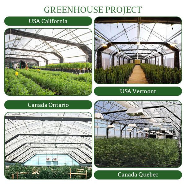 Automatic Control Single Span Greenhouse Blackout Curtain Systems 2.8m-5m