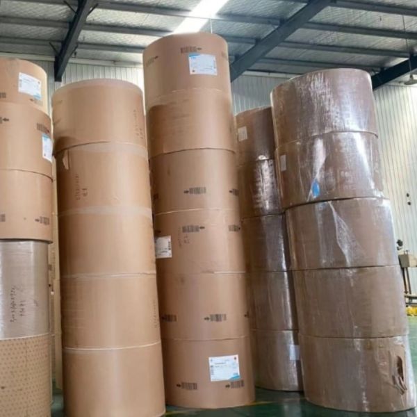 Single Sided PE Coated Paper Roll Eco Friendly Paper Cups With Resist High Temperature