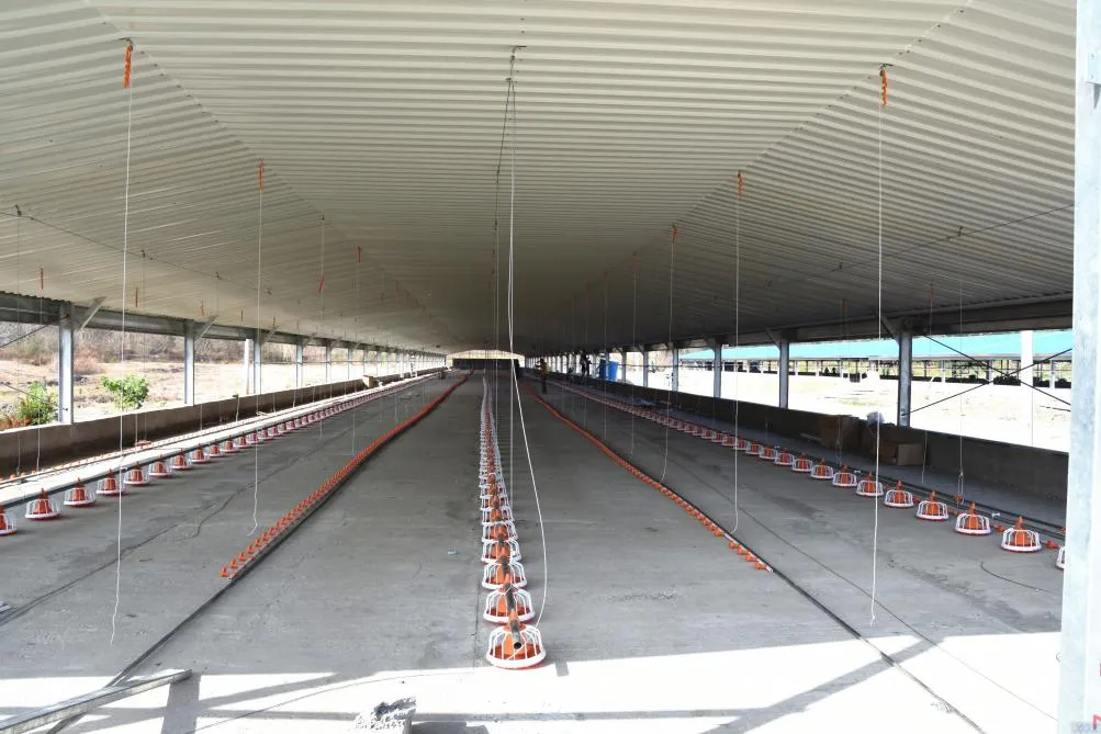 Insulation Panel Prefab Steel Structure Metal Breeding Poultry Chicken House