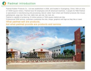 Dongguan Padmat Rubber Products Co., Ltd