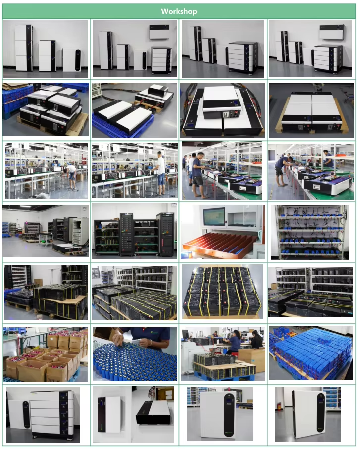 Customized Lithium Ion LiFePO4 Battery Pack 100AH Golf Cart AGV Cleaner Truck