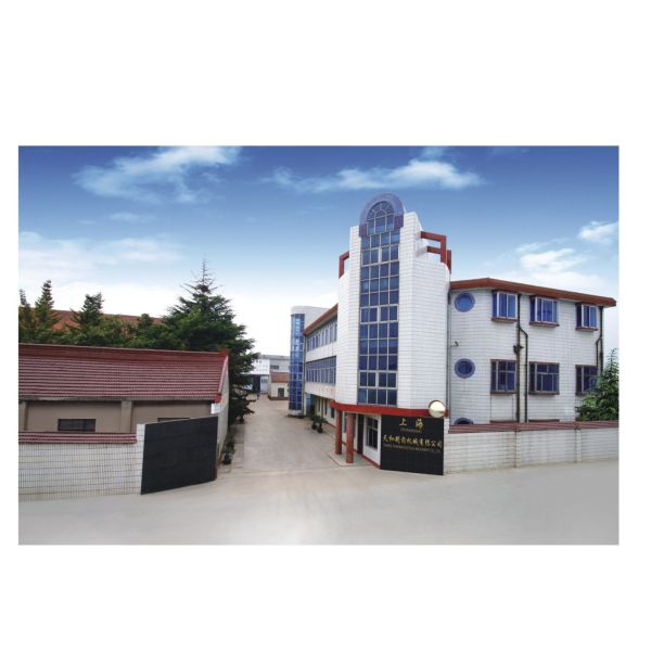TIANHE High Pressure Automatic Rotary Tablet Press Machine For Pharmaceutical Foods Industry
