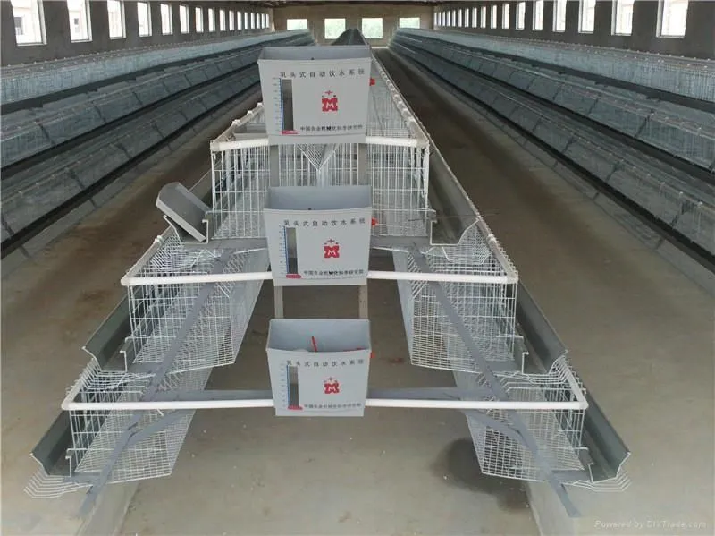 Insulation Panel Prefab Steel Structure Metal Breeding Poultry Chicken House