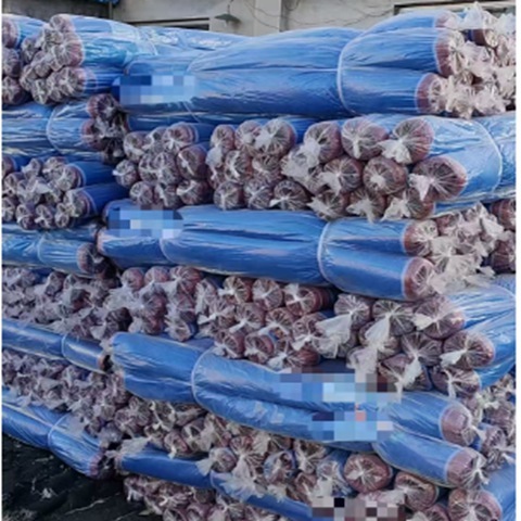 Garden And Farm Plastic Window Screen With HDPE Material