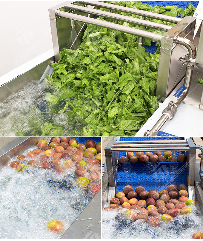 Vegetables bubble washing machine Wash Washer Washing Cleaning processing production Fruit Orange Vegetable Leaves Vegetables Herbs