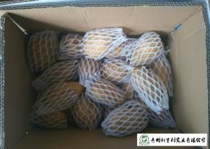 Buy cheap Multipurpose Fresh Potato 10 Kg / Ctn Packing Elliptical Shape Easy Store product