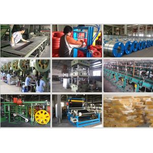 Qingdao Runda Wheel Barrow Co., Ltd.