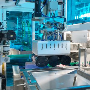 Customized Fully Automatic Garbage Bag Carton Packaging Machine