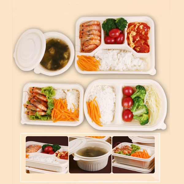 Biodegradable PLA Disposable Tableware 100% Eco Friendly
