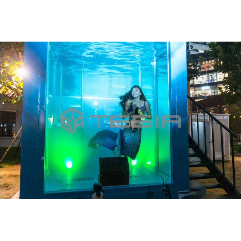 Tesia Industry Custom Prefab Modular 20FT 40FT Container House Luminous Swimming Pool