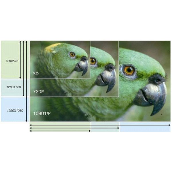 20X HD SDI PTZ Camera Video Professional IP NDI Camera for Broadcasting Video Conferencing Solution