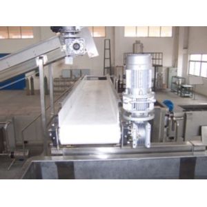 High Capacity Pickle Processing Equipment Automatic / Manual Control For