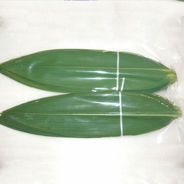 Wholesale Fresh Bamboo Leaf Leaves