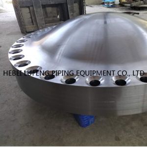 Forged super duplex steel S32750(2507) flanged ellipsoidal head