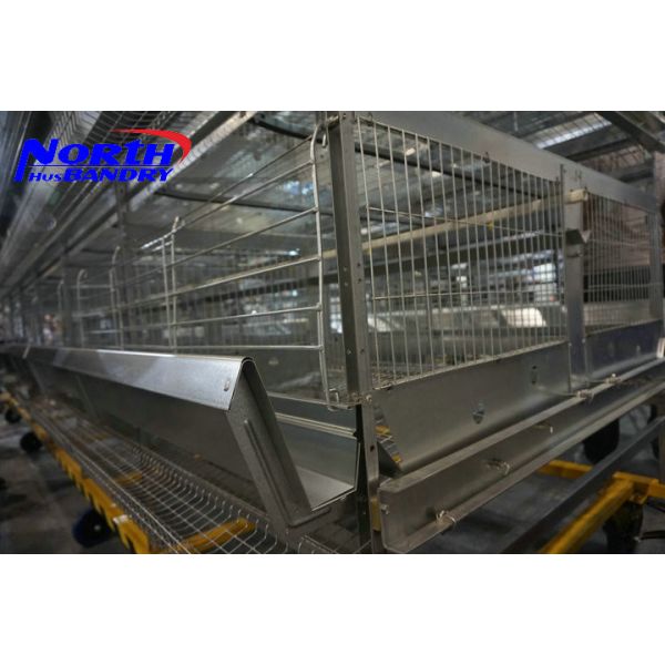 Buy cheap High Quality poultry Egg Layer Chicken Cage(ISO9001) product