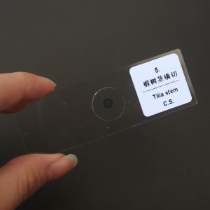 Human Diseases 15pcs Prepared Microscope Slides For Hospital Research